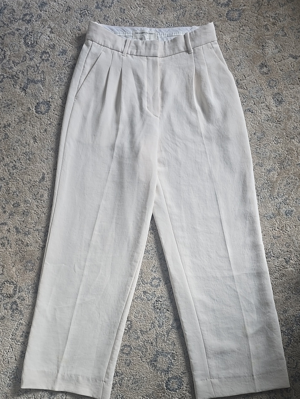 Aritzia High-Waist Pleated Trousers